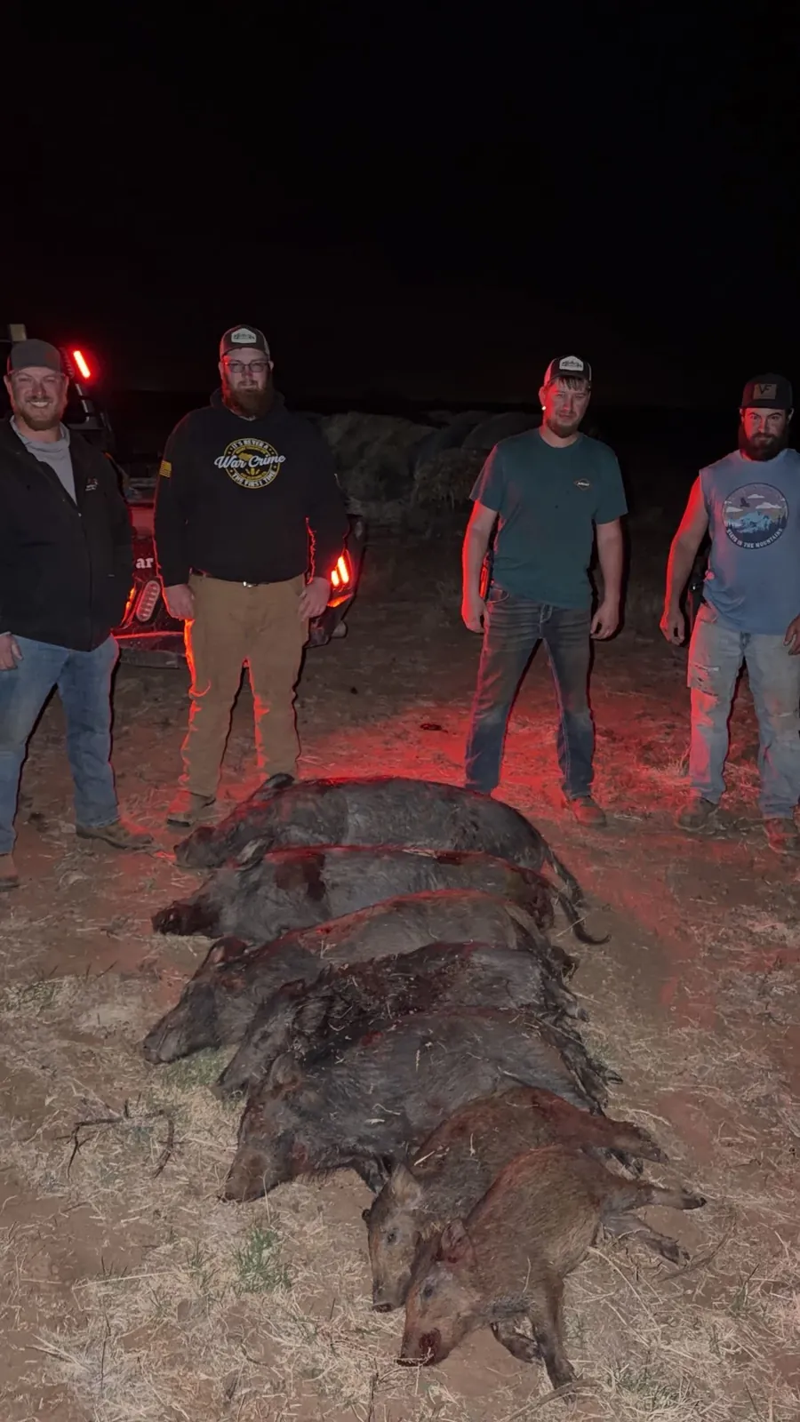 Four hunters standing behind a row of harvested wild hogs beside a pickup's red tail lights at night