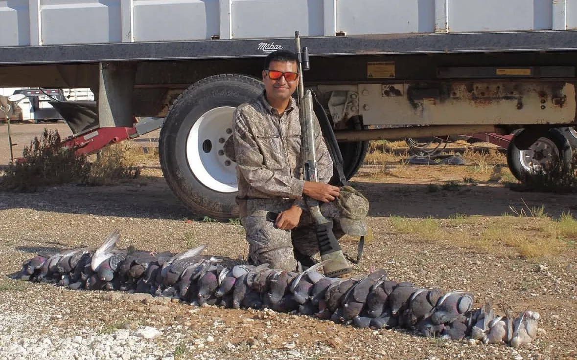 A hunter in camo and orange sunglasses kneeling with a shotgun behind a long row of pigeons on gravel, a large truck with oversized tires behind